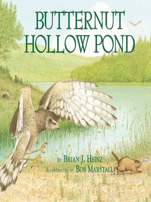 cover image of Butternut Hollow Pond